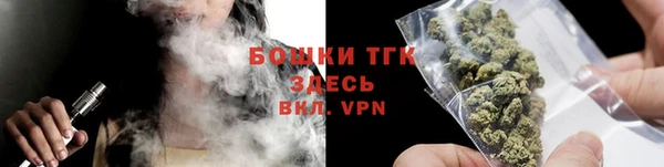 гидра Алексеевка