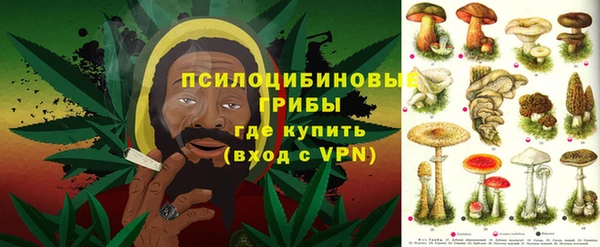 гидра Алексеевка